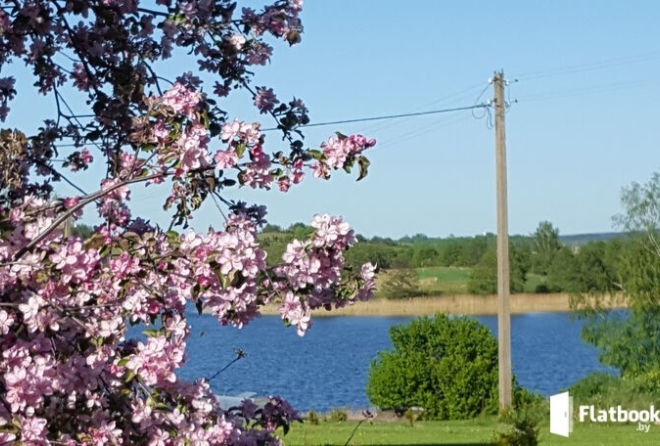 'территория'